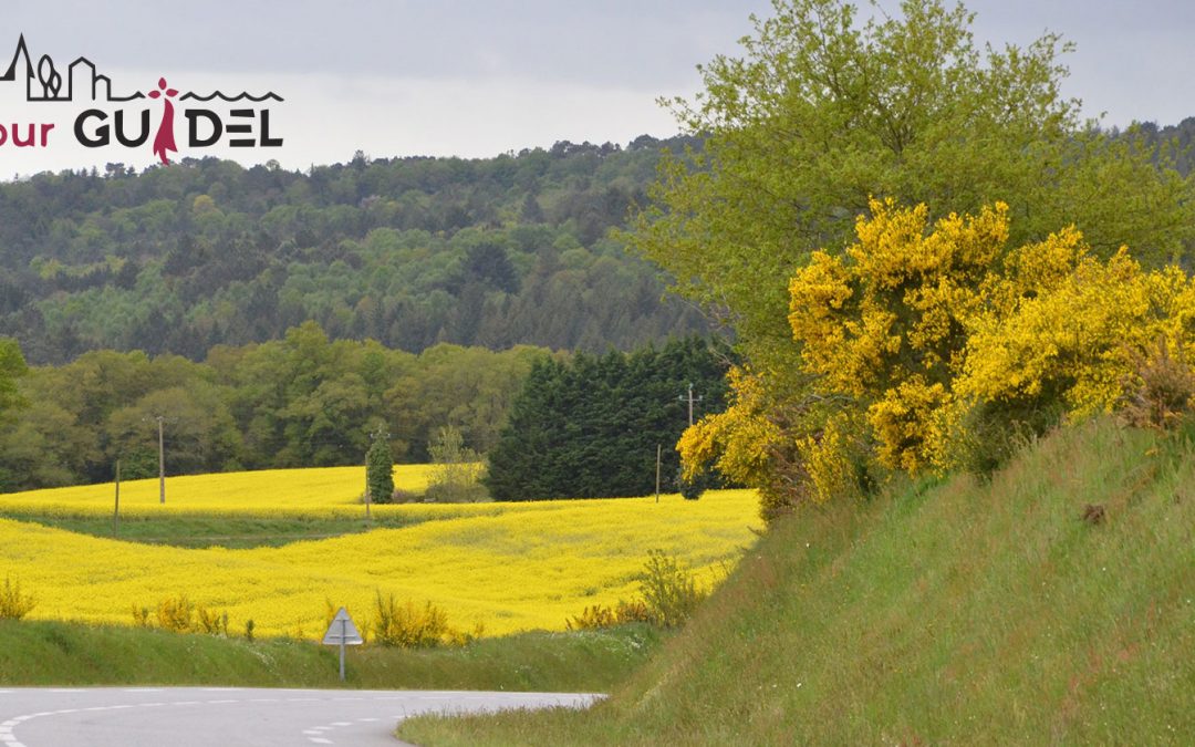 Les enjeux de l’agriculture à Guidel, rencontre avec la Chambre d’Agriculture à Hennebont